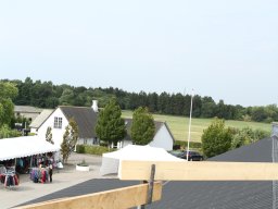 IMG_1174_web